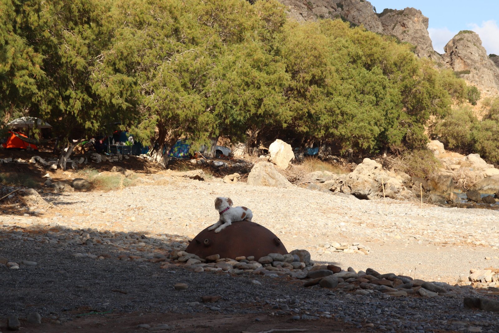 Old sea mine on Sfinari beach with a small dog sitting on top