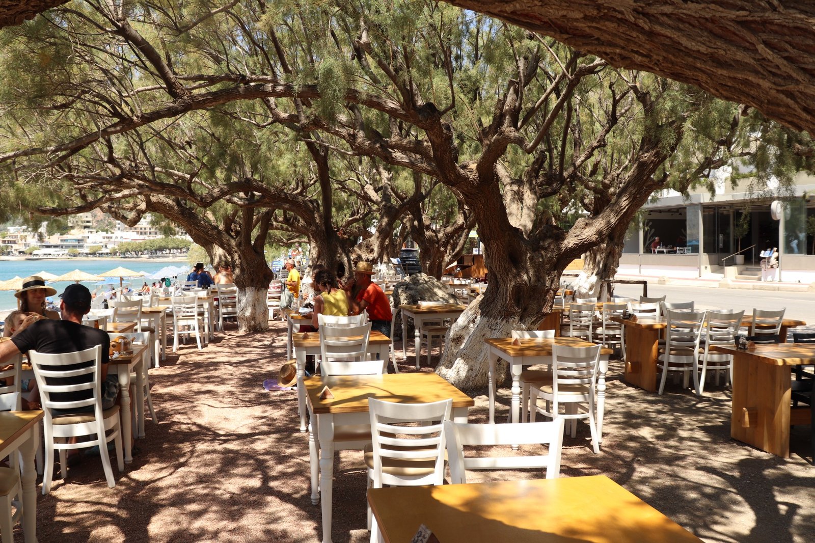 Coffee with a View at Alianthos Seaside Restaurant, Plakias Cold coffee drinks with Plakias beach and umbrellas in the background at Alianthos Seaside Restaurant