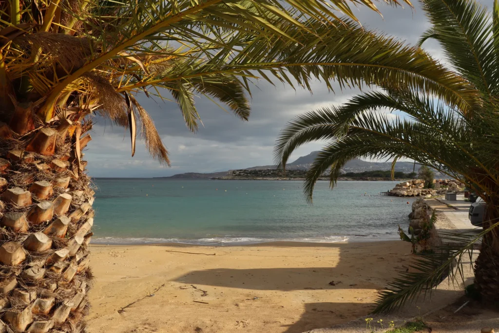 Panoramic view of a beach near Chania with palm trees and clear turquoise water