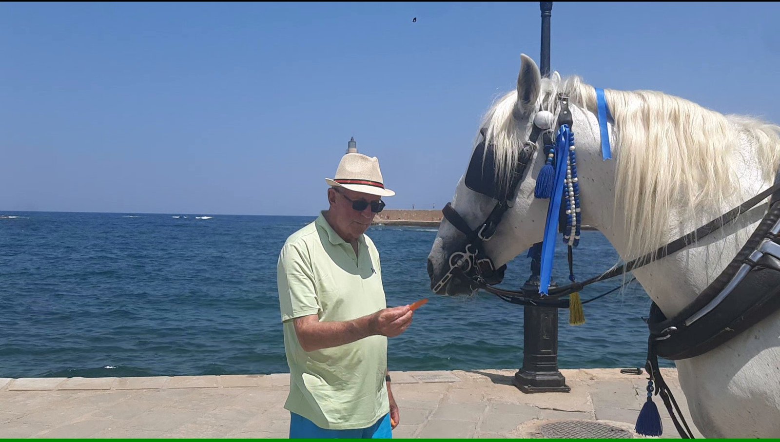Tourist feeding a white horse by the sea in Chania