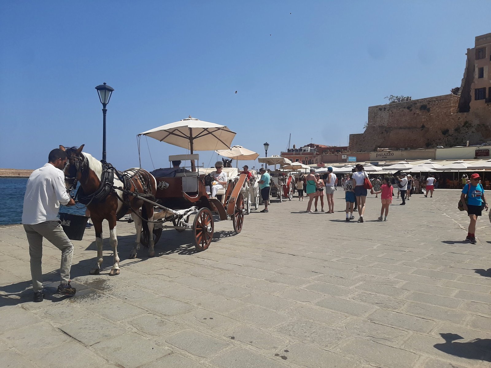 Horse owner giving water to a carriage horse at Chania Old Port